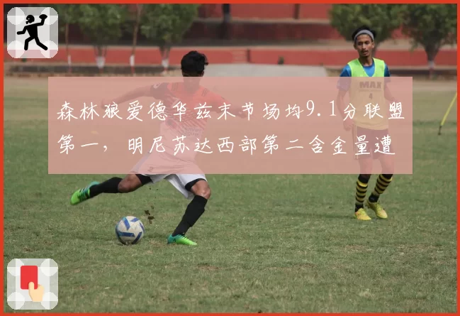 森林狼爱德华兹末节场均9.1分联盟第一,明尼苏达西部第二含金量遭质疑__br_