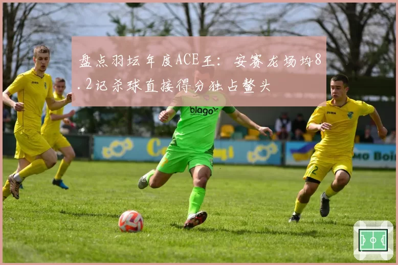 盘点羽坛年度ACE王：安赛龙场均8.2记杀球直接得分独占鳌头